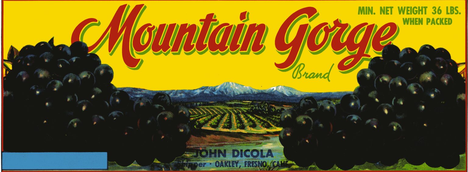 Mountain Gorge
